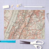 ニューヨークおよびコネチカット3の自転車の道 薄葉紙 (クラフト)