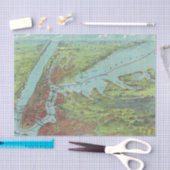 ニューヨークおよび近辺の鳥目眺めの地図 薄葉紙 (クラフト)