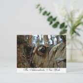 ニューヨークのアディロンダックス ポストカード (スタンド正面)