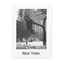 ニューヨークのスノーウィーパーク