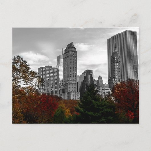 ニューヨークのセントラルパークから眺める ポストカード (正面)