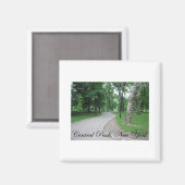 ニューヨークのセントラルパーク マグネット (正面/裏面)