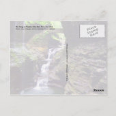 ニューヨークのワトキンズグレン州パークで峡谷。 ポストカード (裏面)