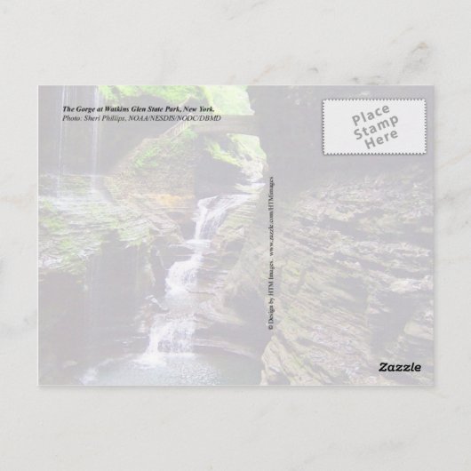 ニューヨークのワトキンズグレン州パークで峡谷。 ポストカード (裏面)