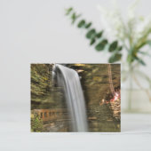 ニューヨークのワトキンズグレン州パーク ポストカード (スタンド正面)