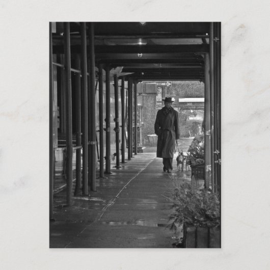 ニューヨークの冬の犬の散歩 ポストカード (正面)