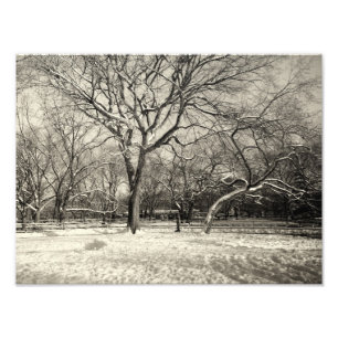 ニューヨークの冬-東の村の雪 フォトプリント           