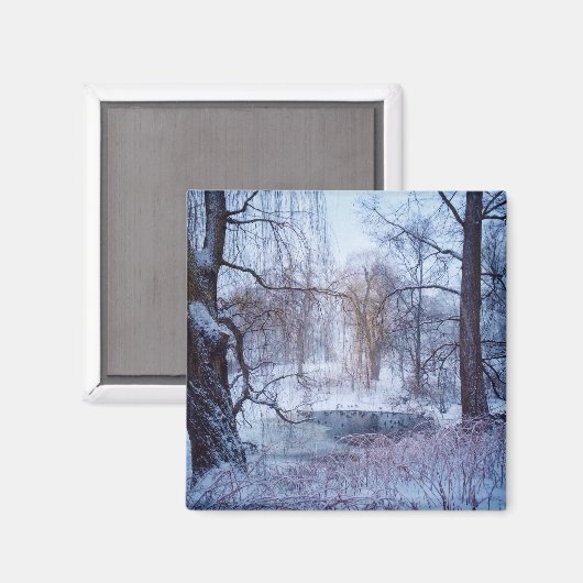 ニューヨークの凍っていセントラルパークの池でアヒル マグネット (正面/裏面)