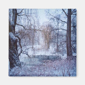 ニューヨークの凍っていセントラルパークの池でアヒル マグネット (正面)