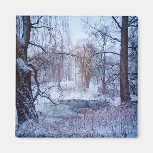 ニューヨークの凍っていセントラルパークの池でアヒル マグネット (正面)