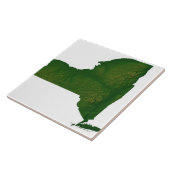 ニューヨークの地図州 タイル (側面)