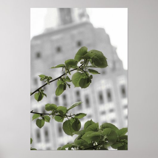 ニューヨークの帝国国家 ポスター (正面)