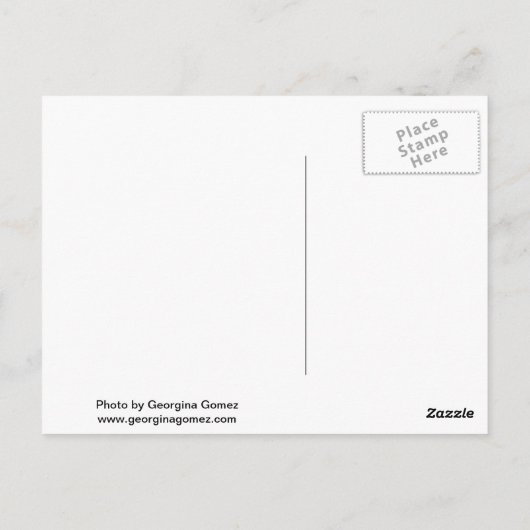 ニューヨークの建物の列 ポストカード (裏面)