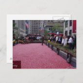 ニューヨークの真ん中のクランベリーの沼地 ポストカード (正面/裏面)