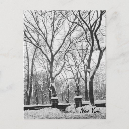 ニューヨークの雪 ポストカード (正面)