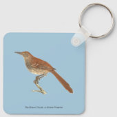 ニューヨークの鳥の茶色のツグミまたは茶色のツラッシャー キーホルダー (裏面)