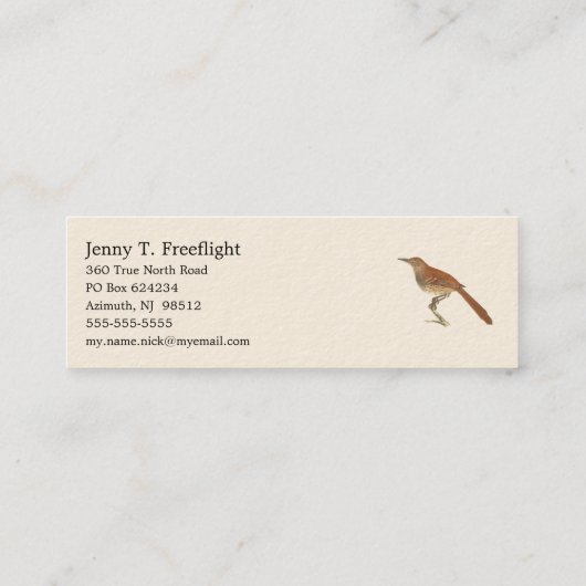 ニューヨークの鳥の茶色のツグミまたは茶色のツラッシャー スキニー名刺 (裏面)