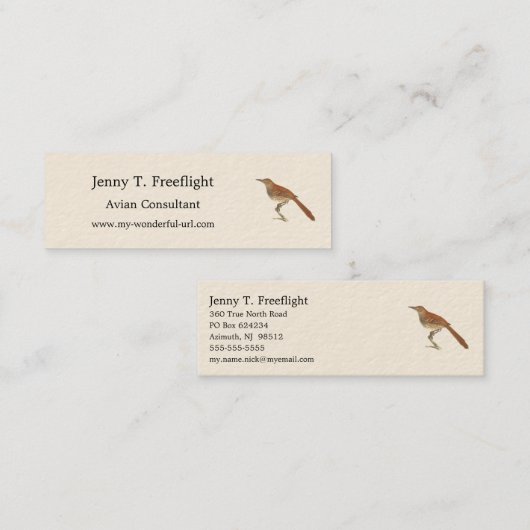 ニューヨークの鳥の茶色のツグミまたは茶色のツラッシャー スキニー名刺 (正面/裏面)