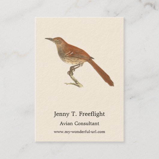 ニューヨークの鳥の茶色のツグミまたは茶色のツラッシャー 名刺 (正面)