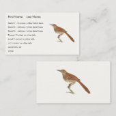 ニューヨークの鳥の茶色のツグミまたは茶色のツラッシャー 名刺 (正面/裏面)