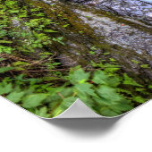 ニューヨークのRobert Treman州・パーク、Enfield Glen ポスター (角)