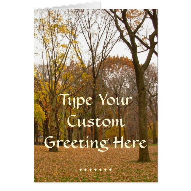 ニューヨークカードセントラルパークニューヨークスーベリーカード (正面)