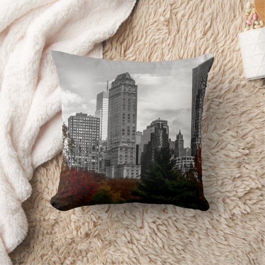 ニューヨークシティのセントラル・パークからの眺め クッション (ブランケット)