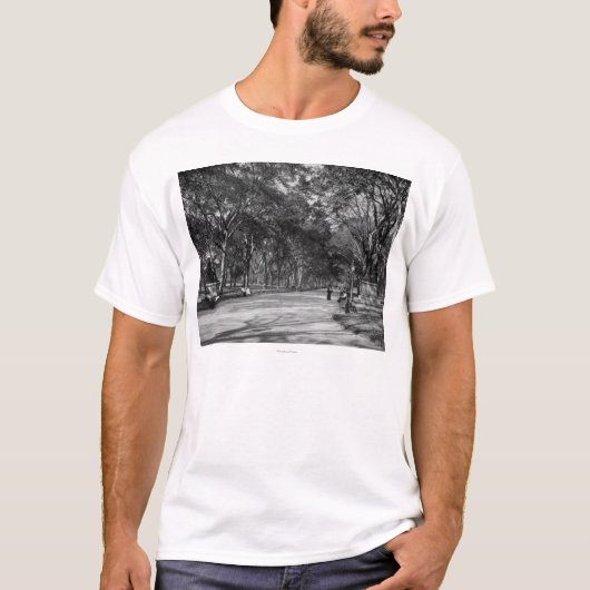 ニューヨークシティのセントラル・パークのモール Tシャツ (正面)