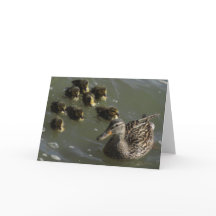 ニューヨークシティの挨拶状