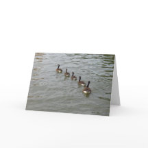 ニューヨークシティの挨拶状