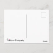 ニューヨークシティセントラルパークサウス ポストカード (裏面)