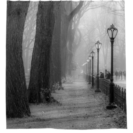 ニューヨークシティセントラル・パーク シャワーカーテン (正面)