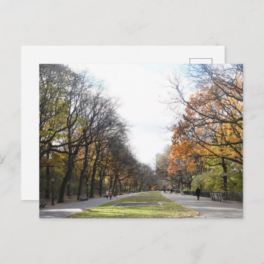 ニューヨークシティリバーサイドパークNYCの秋の写真 ポストカード (正面/裏面)