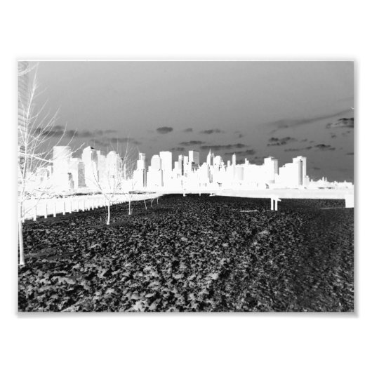 ニューヨークスノー フォトプリント            (正面)