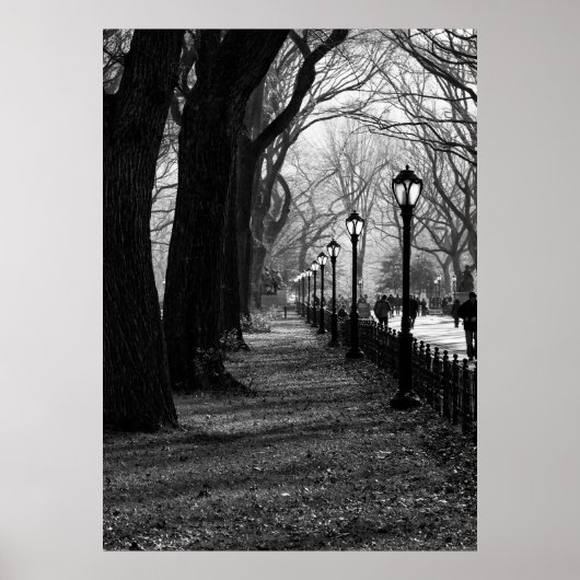 ニューヨークセントラルパーク ポスター (正面)