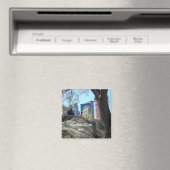 ニューヨークセントラルパーク マグネット (インサイチュ (食洗機))