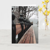 ニューヨークセントラル・パークの挨拶状 カード (黄色い花)