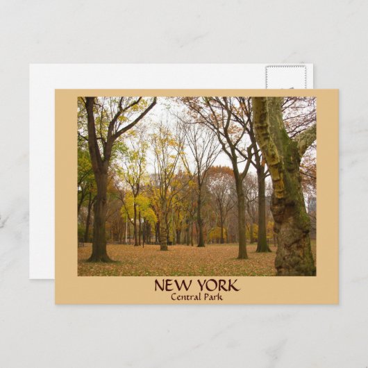 ニューヨークポストカードNYCセントラルパークポストカード ポストカード (正面/裏面)