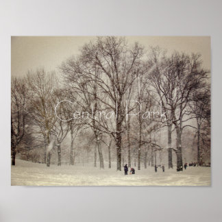 ニューヨーク中央公園 ポスター