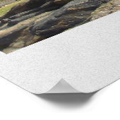 ニューヨーク中央公園 ポスター (角)