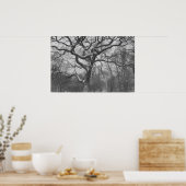 ニューヨーク中央公園 ポスター (キッチン)