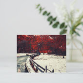 ニューヨーク中央公園 ポストカード (スタンド正面)