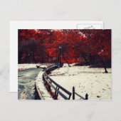 ニューヨーク中央公園 ポストカード (正面/裏面)