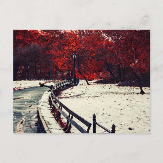 ニューヨーク中央公園 ポストカード (正面)