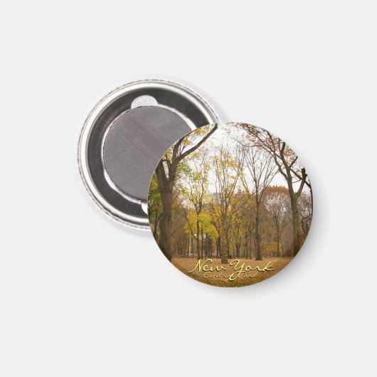 ニューヨーク冷蔵庫用マグネットセントラルパークNYCマグネット マグネット (正面/裏面)