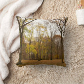 ニューヨーク土産ピローNYセントラルパークピロー クッション (ブランケット)