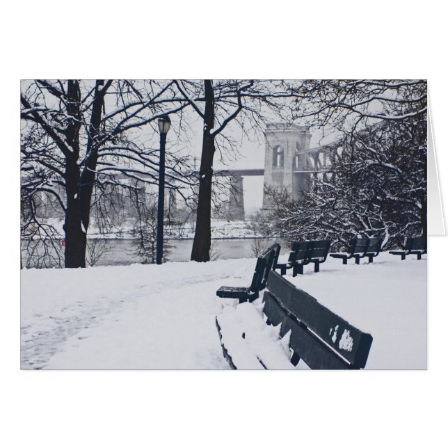 ニューヨーク州アストリアのヘルゲートブリッジの景色 (正面横)