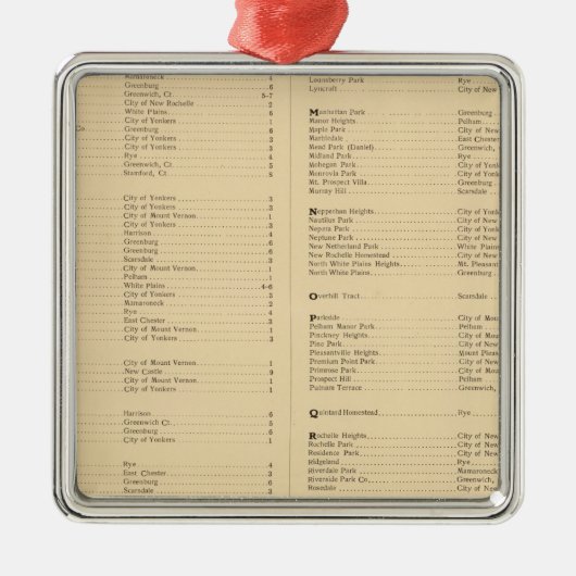 ニューヨーク州ウェストチェスター郡4 メタルオーナメント (正面)