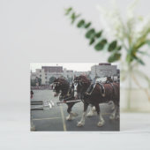 ニューヨーク州エルミラのミッドタウンプラザでクリデールウマーズ ポストカード (スタンド正面)