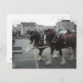 ニューヨーク州エルミラのミッドタウンプラザでクリデールウマーズ ポストカード (正面/裏面)